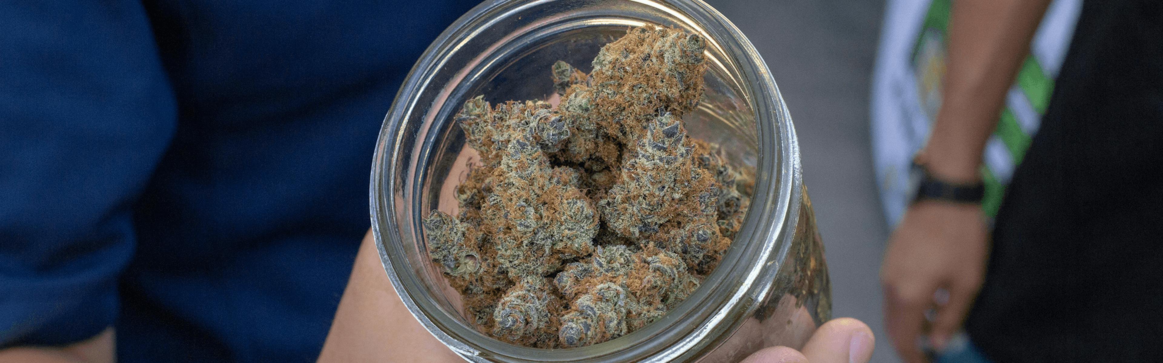 Person in blue shirt holding a jar of cannabis flower at an outdoor event