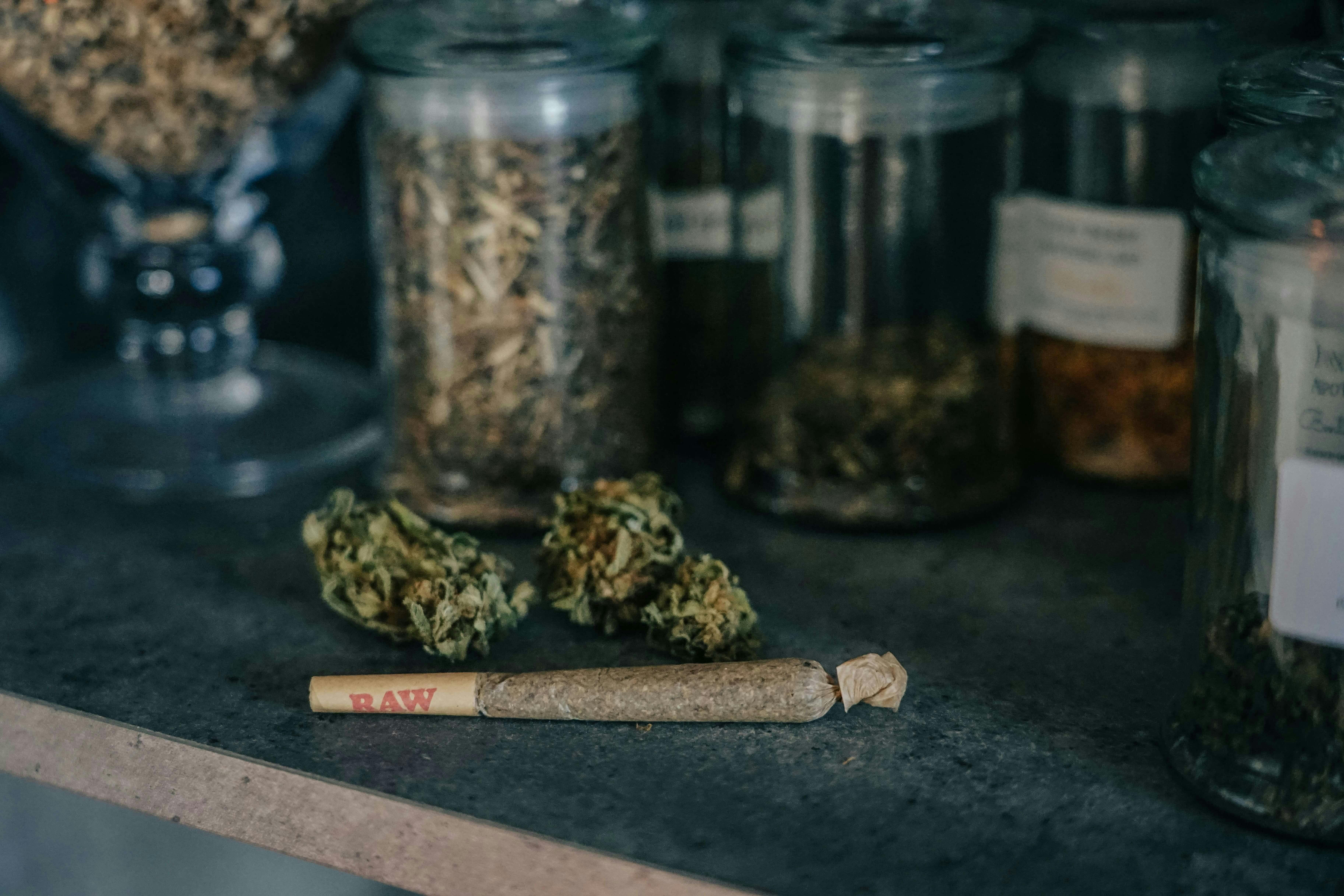 Rolled cannabis joint with dried marijuana buds and glass jars of herbs on a dark surface