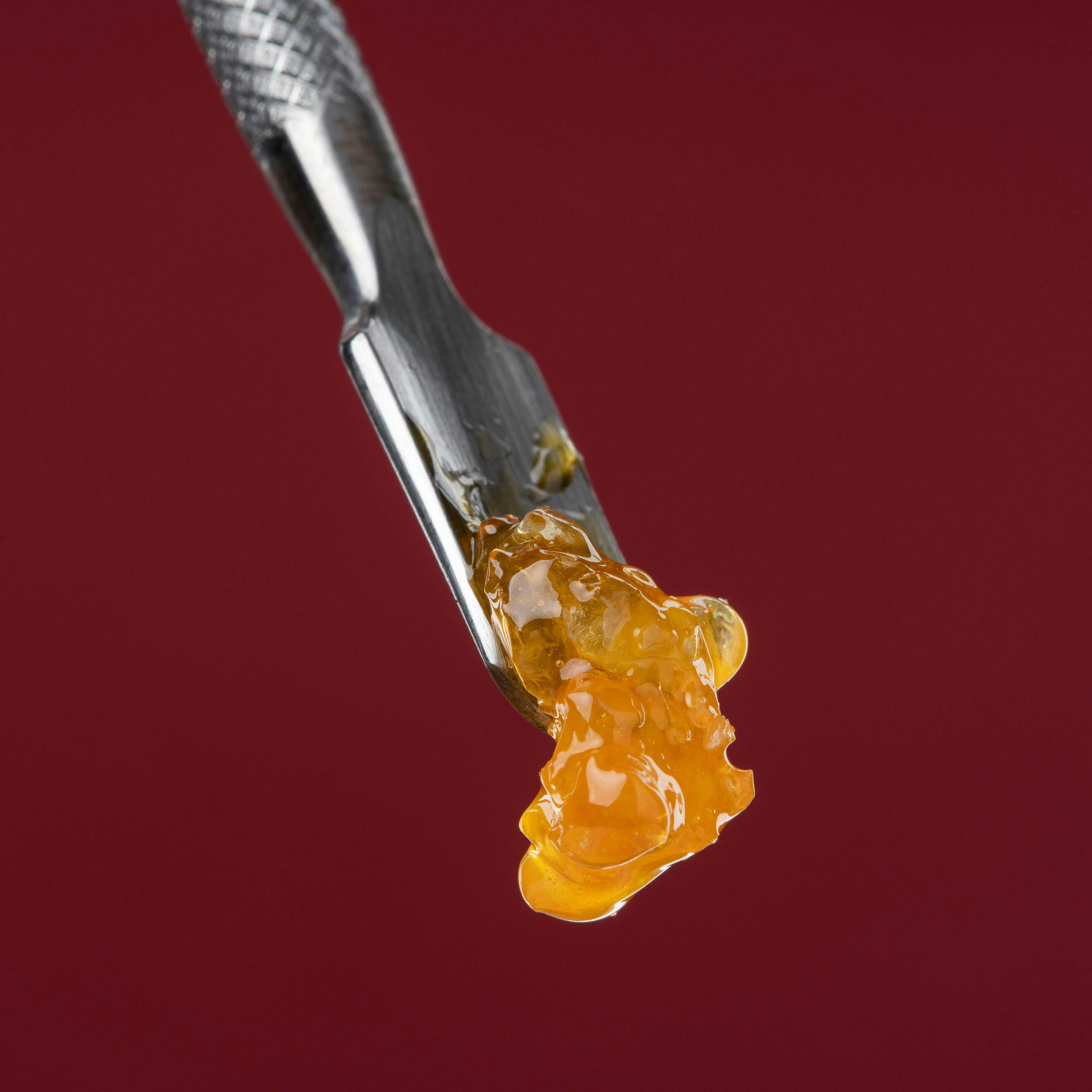 Close-up of cannabis concentrate or live resin on a dab tool against a red background