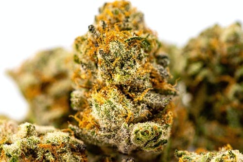 10 Unknown Weed Strains You should Try