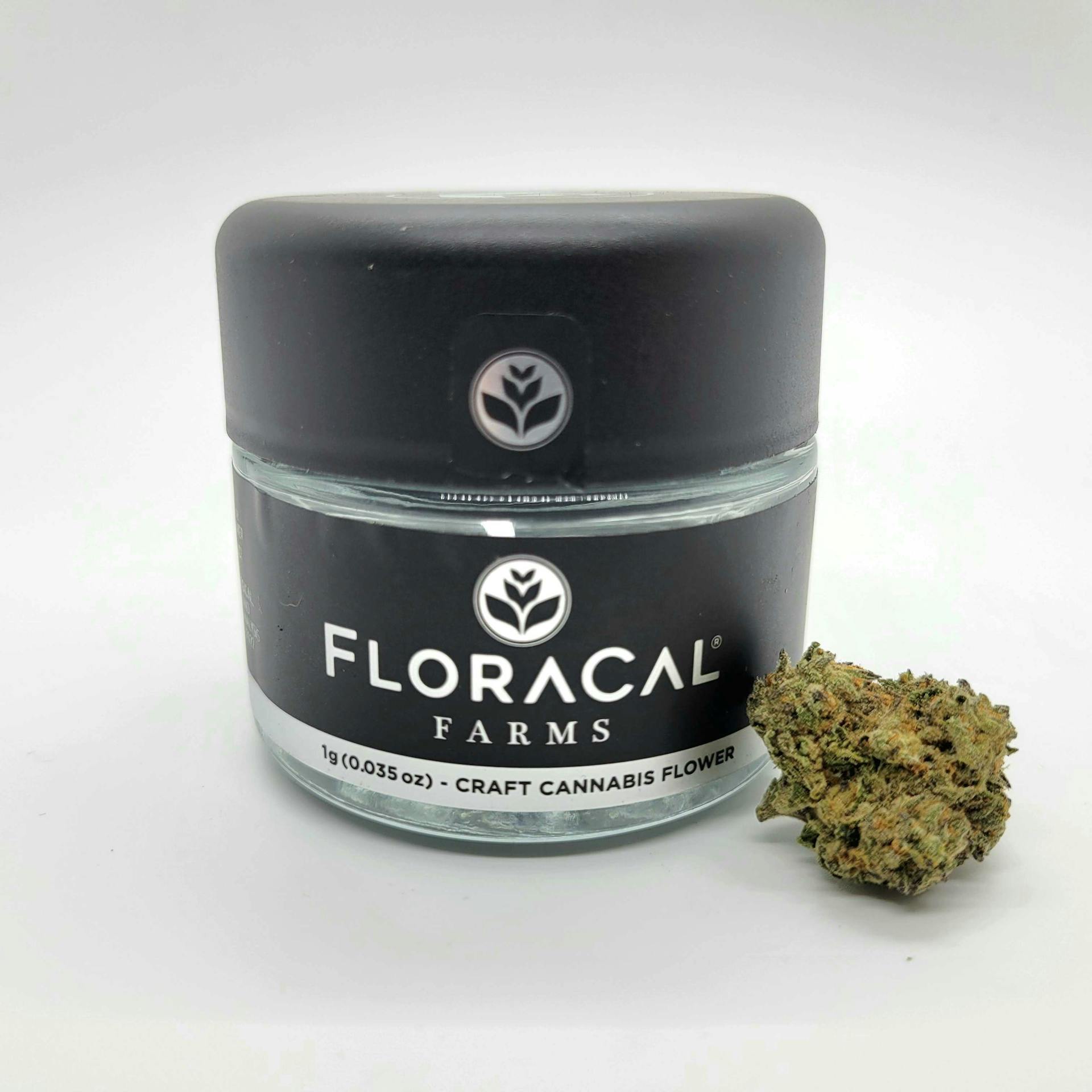 Blulato Strain by Floracal