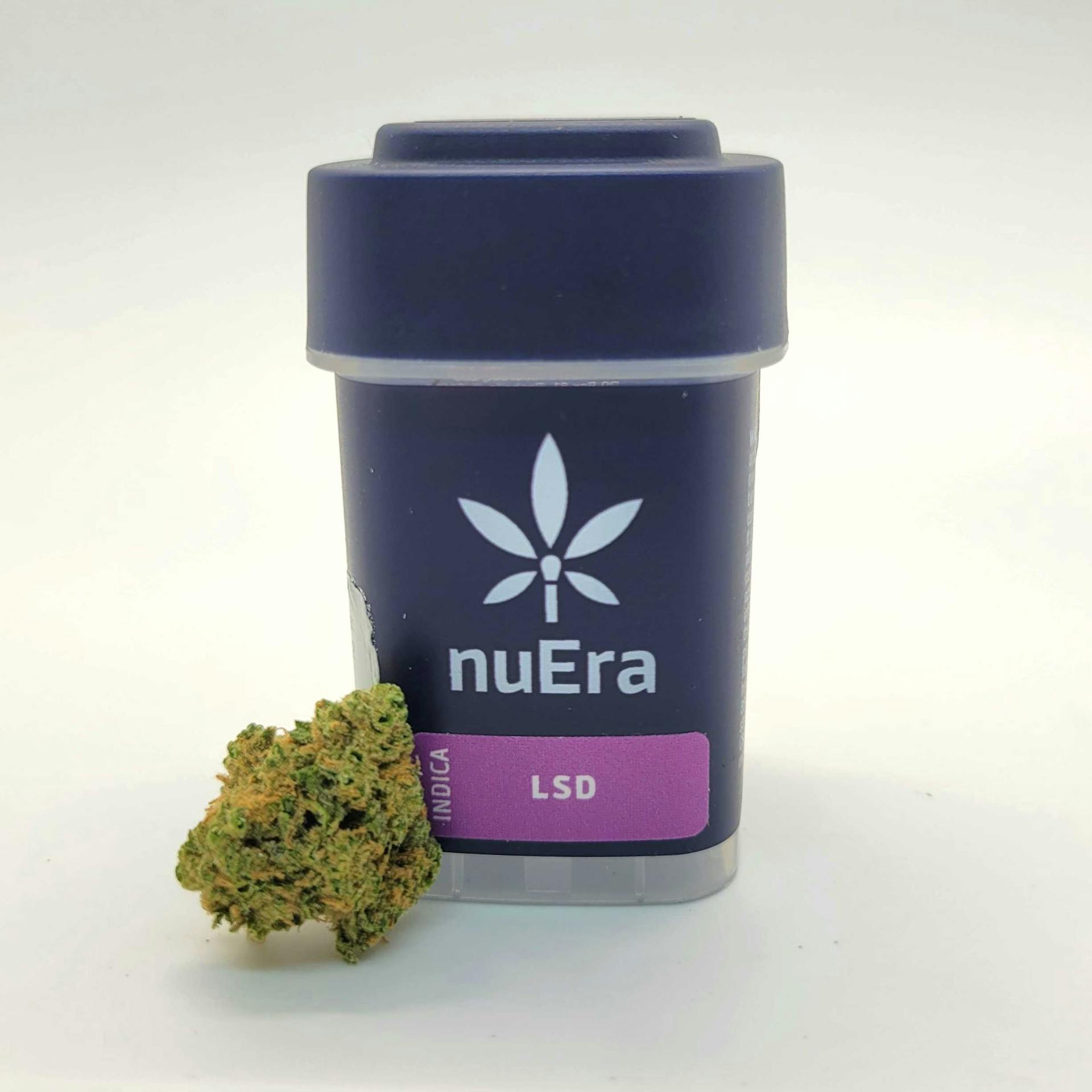 LSD Strain by nuEra
