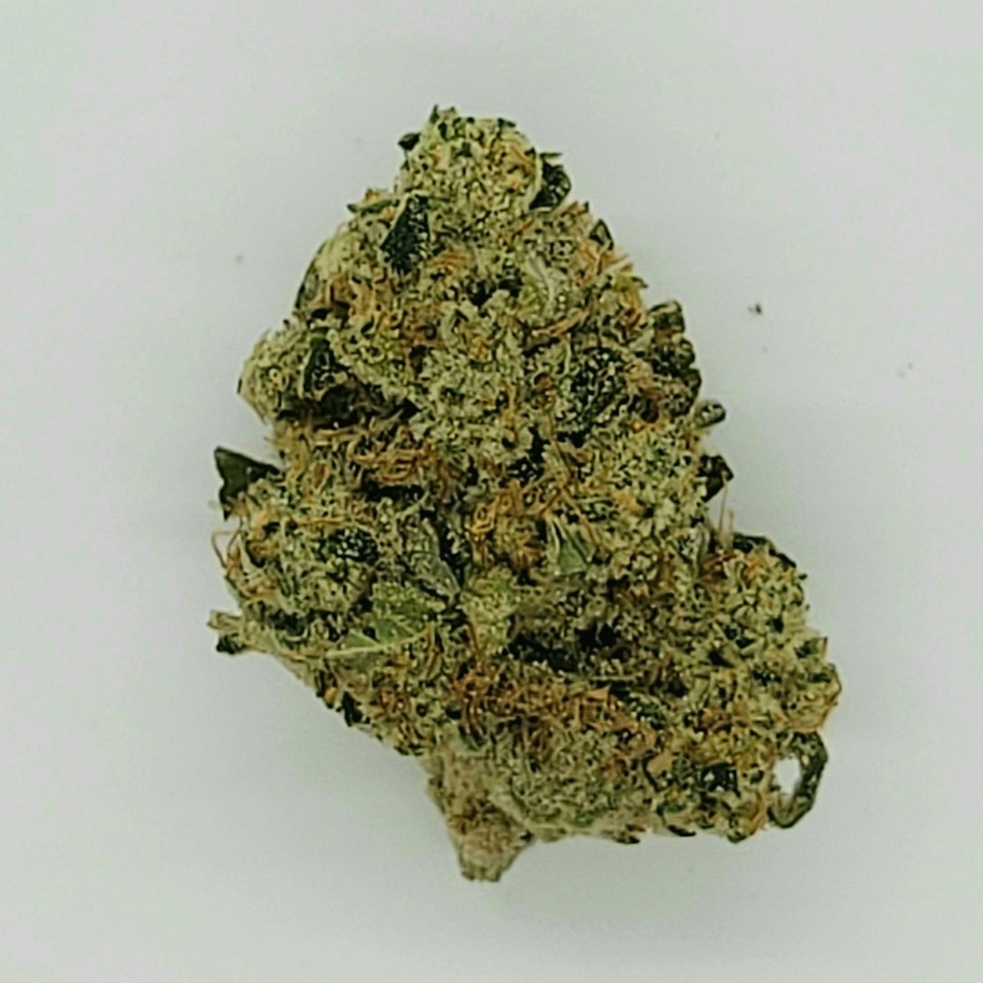 Jet Fuel by Rythm Cannabis