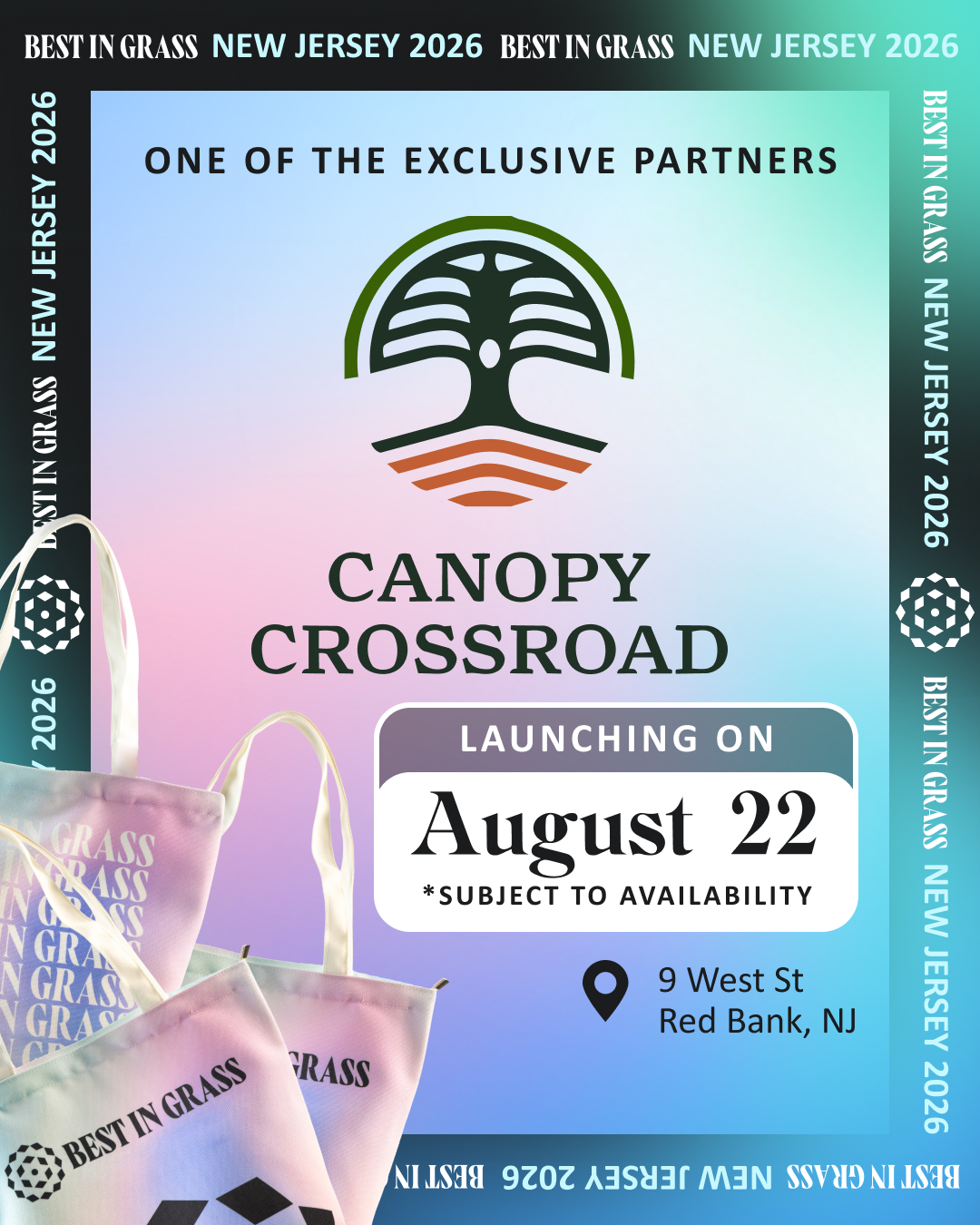 CBD vs. CBG: Which is Right for You? | Canopy Crossroad Red Bank