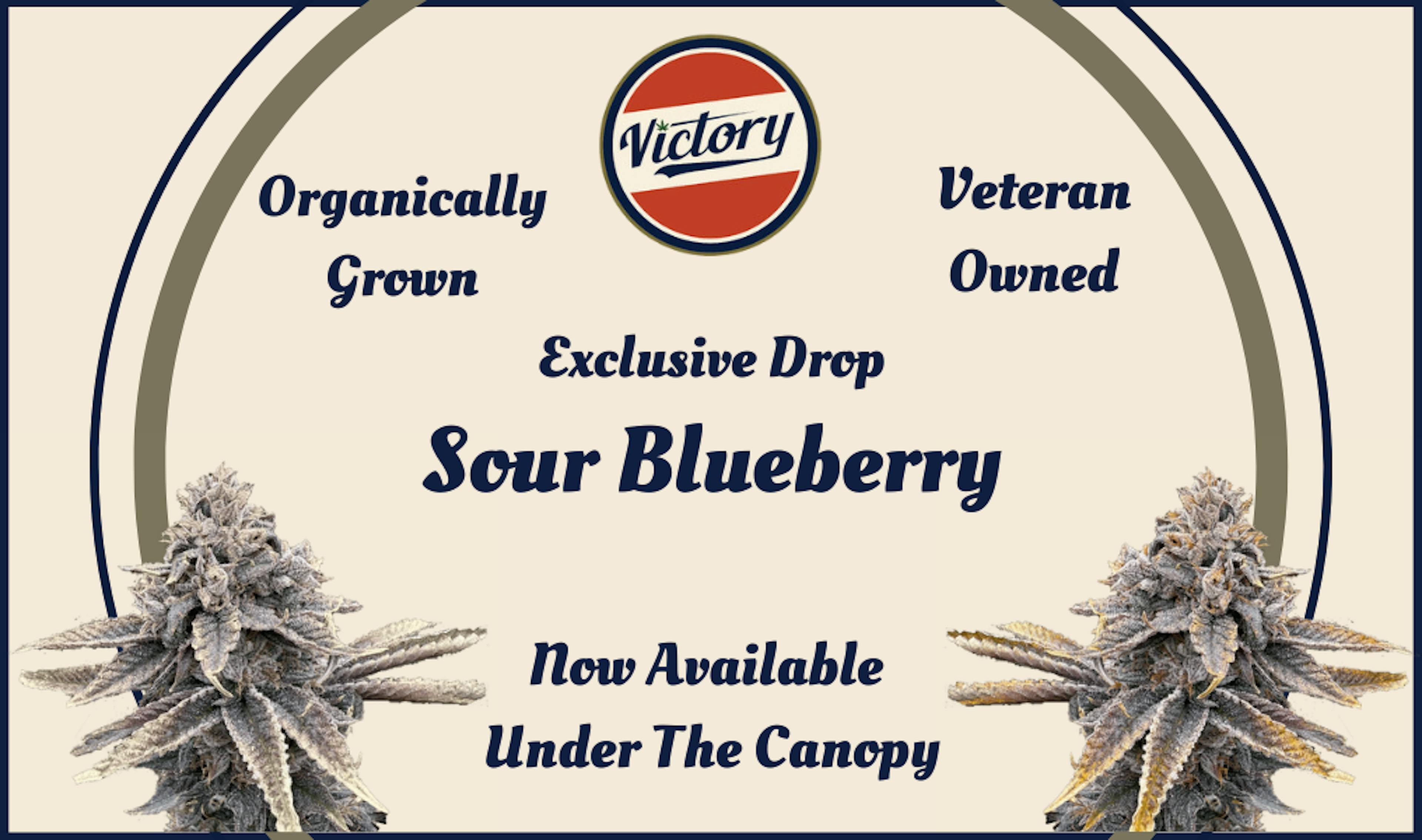 Victory brand cannabis exclusive drop of Sour Blueberry strain – organically grown, veteran-owned, now available at Canopy Crossroad dispensary. Featuring frosty cannabis buds and vintage-style branding.