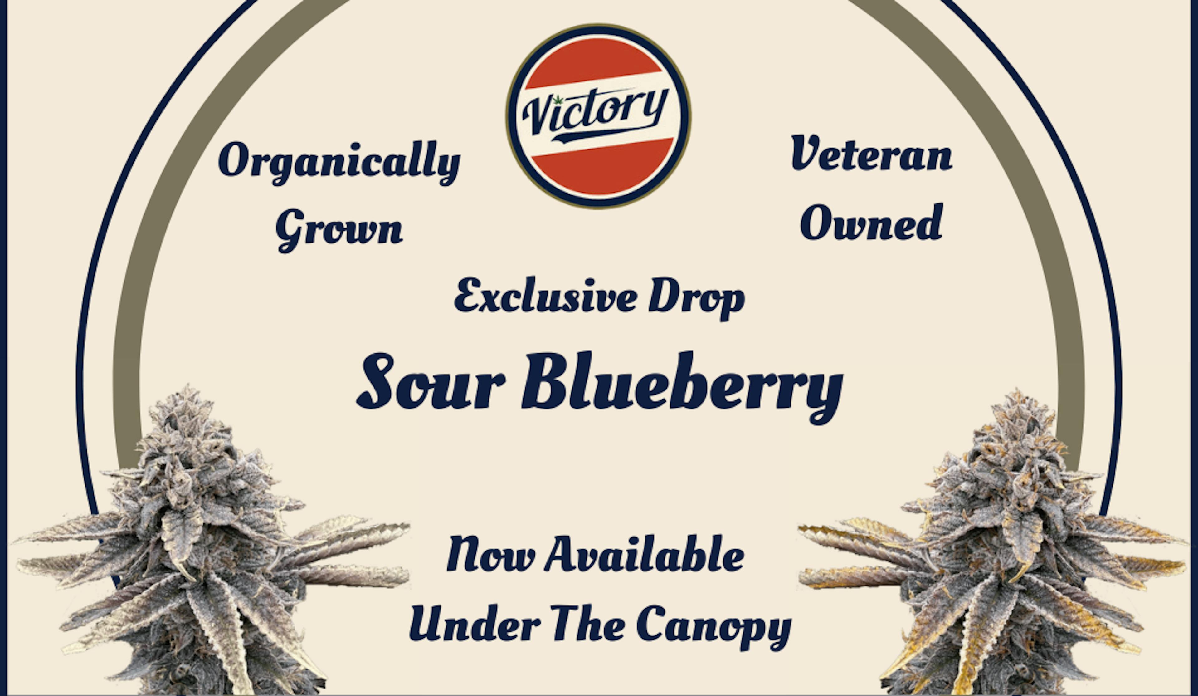 Victory brand cannabis exclusive drop of Sour Blueberry strain – organically grown, veteran-owned, now available at Canopy Crossroad dispensary. Featuring frosty cannabis buds and vintage-style branding.