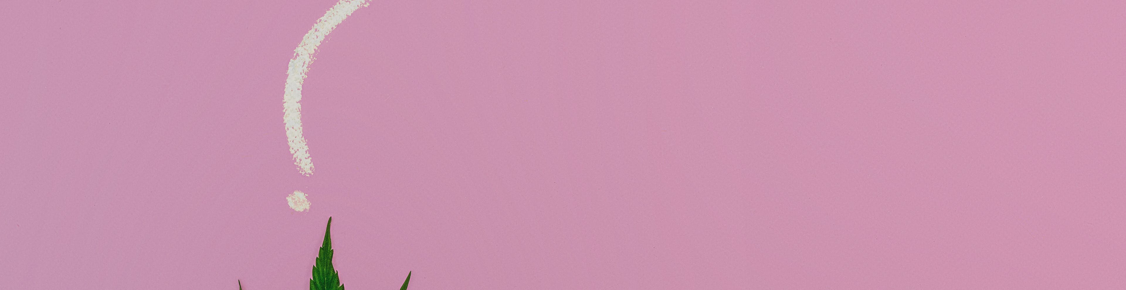 Blog banner
