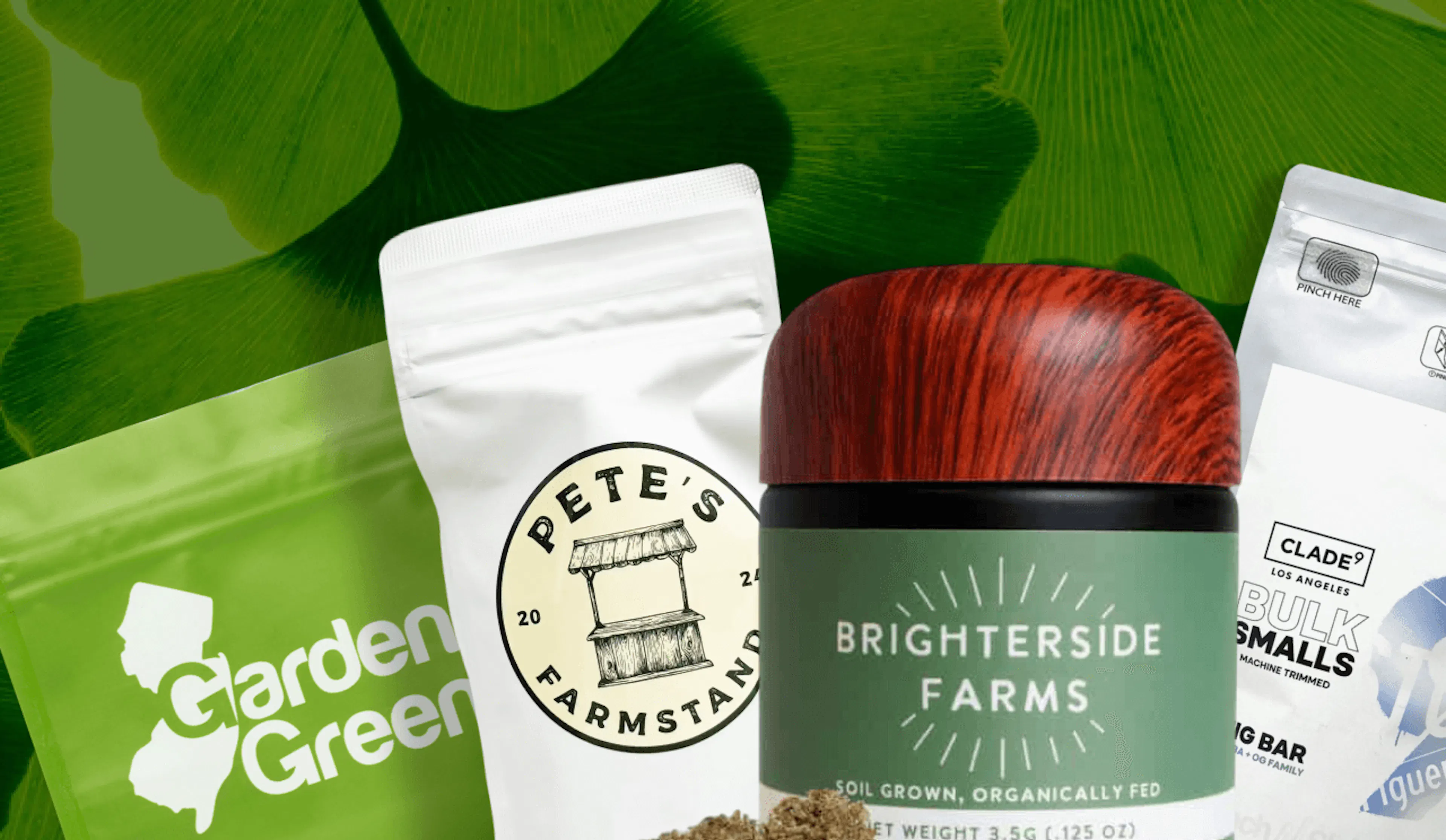 Red Bank NJ's Trusted Dispensary | Canopy Crossroad