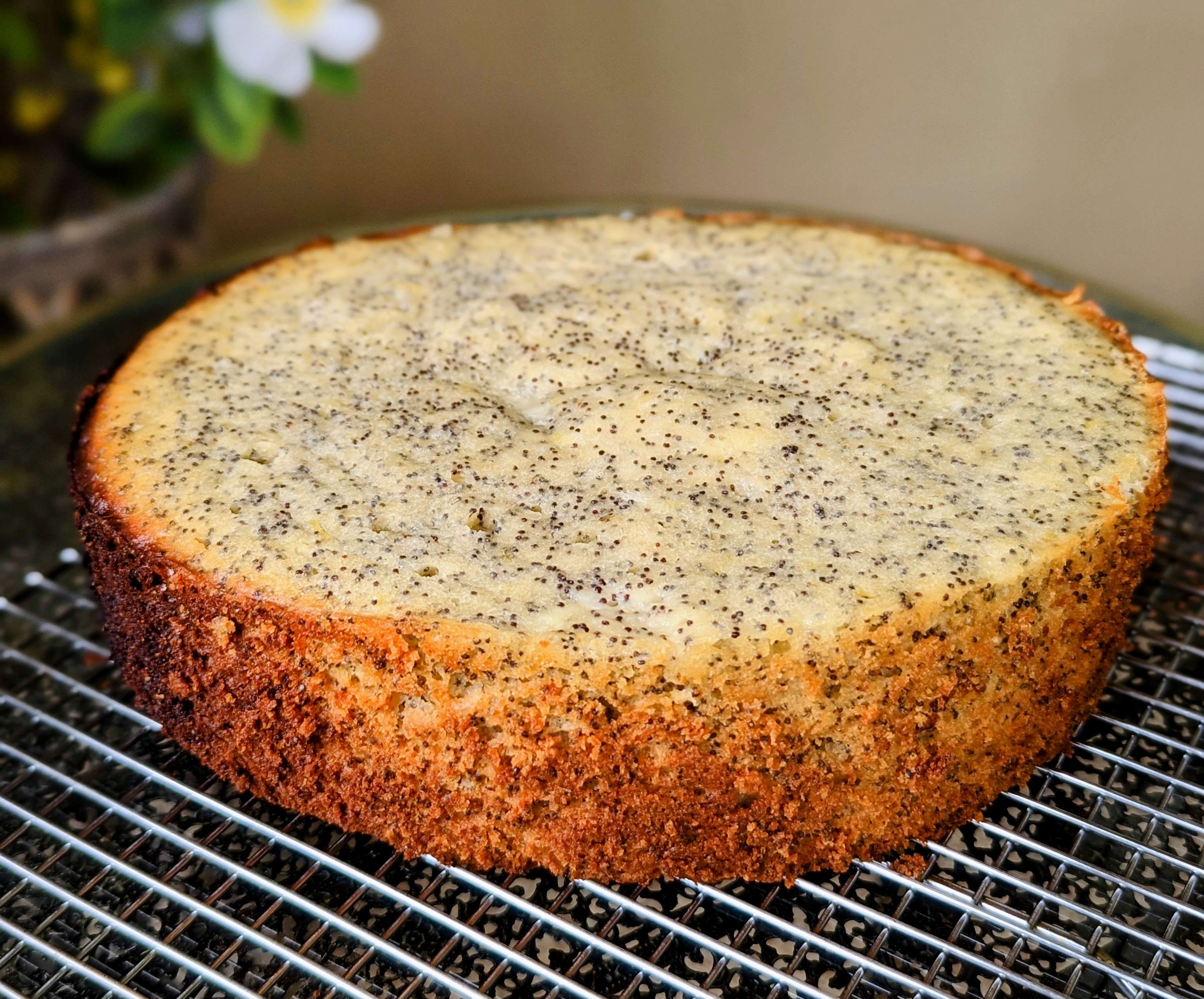 Slow Cooker Lemon & Poppy Seed Cake