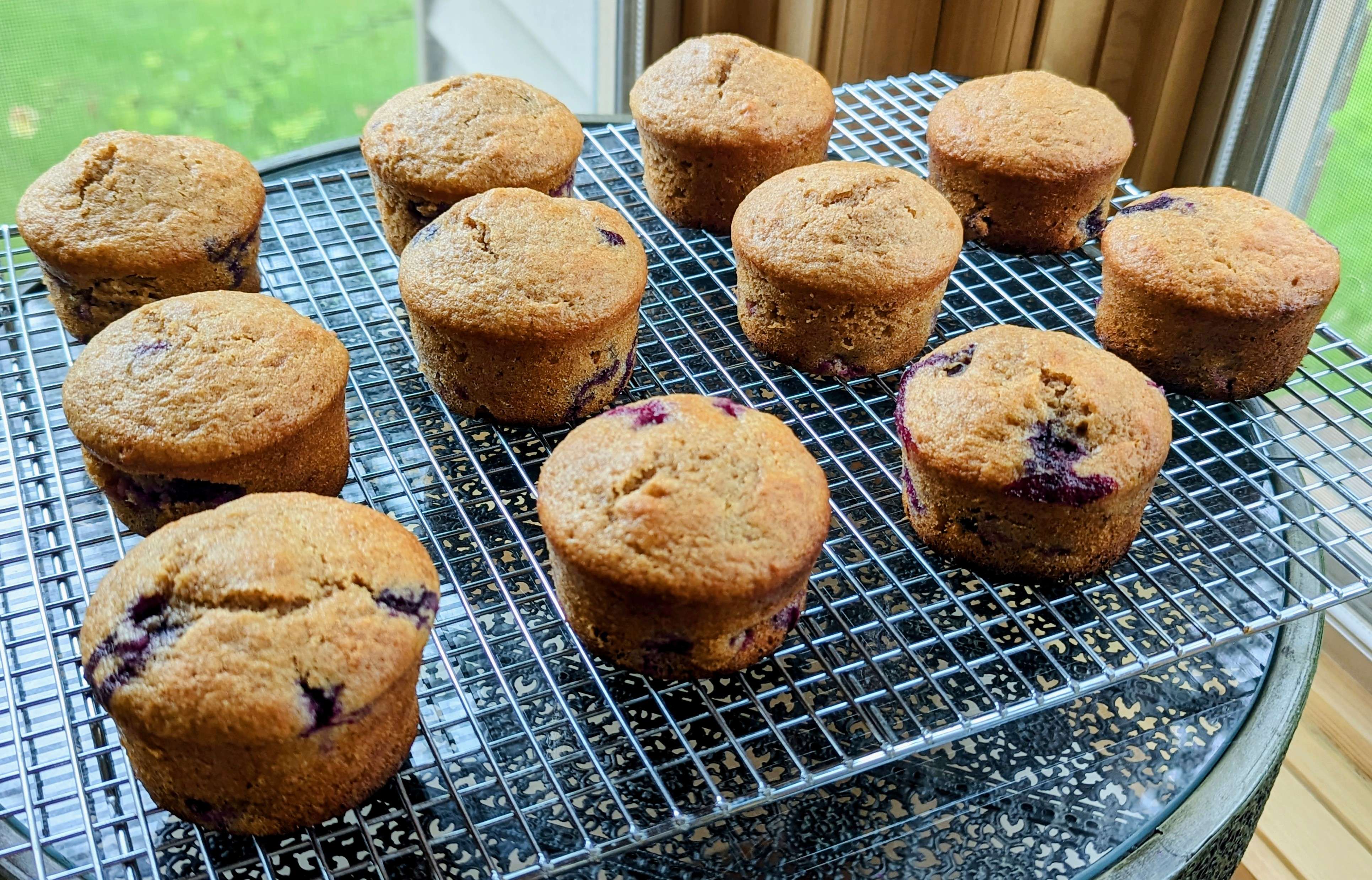 Blueberry Muffins
