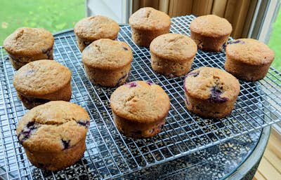 Blueberry Muffins