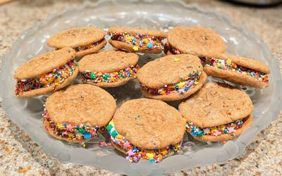 Chocolate Chip Fro-Yo Sandwiches