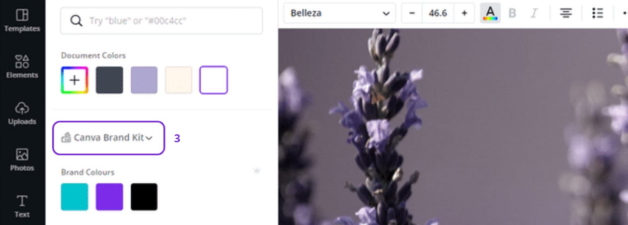 Setting Up And Using Brand Kit Color Palettes Canva Help Center
