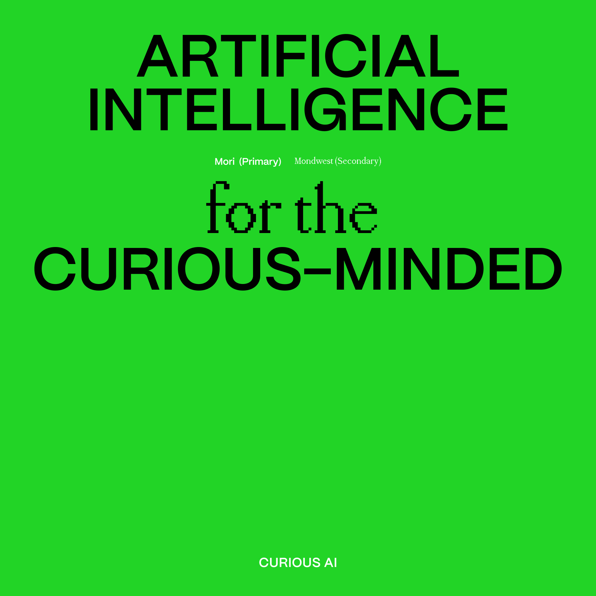 Portfolio Image - 15