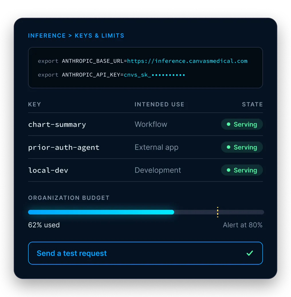 Canvas Platform Keys and limits page showing gateway connection settings, inference keys and the organization budget