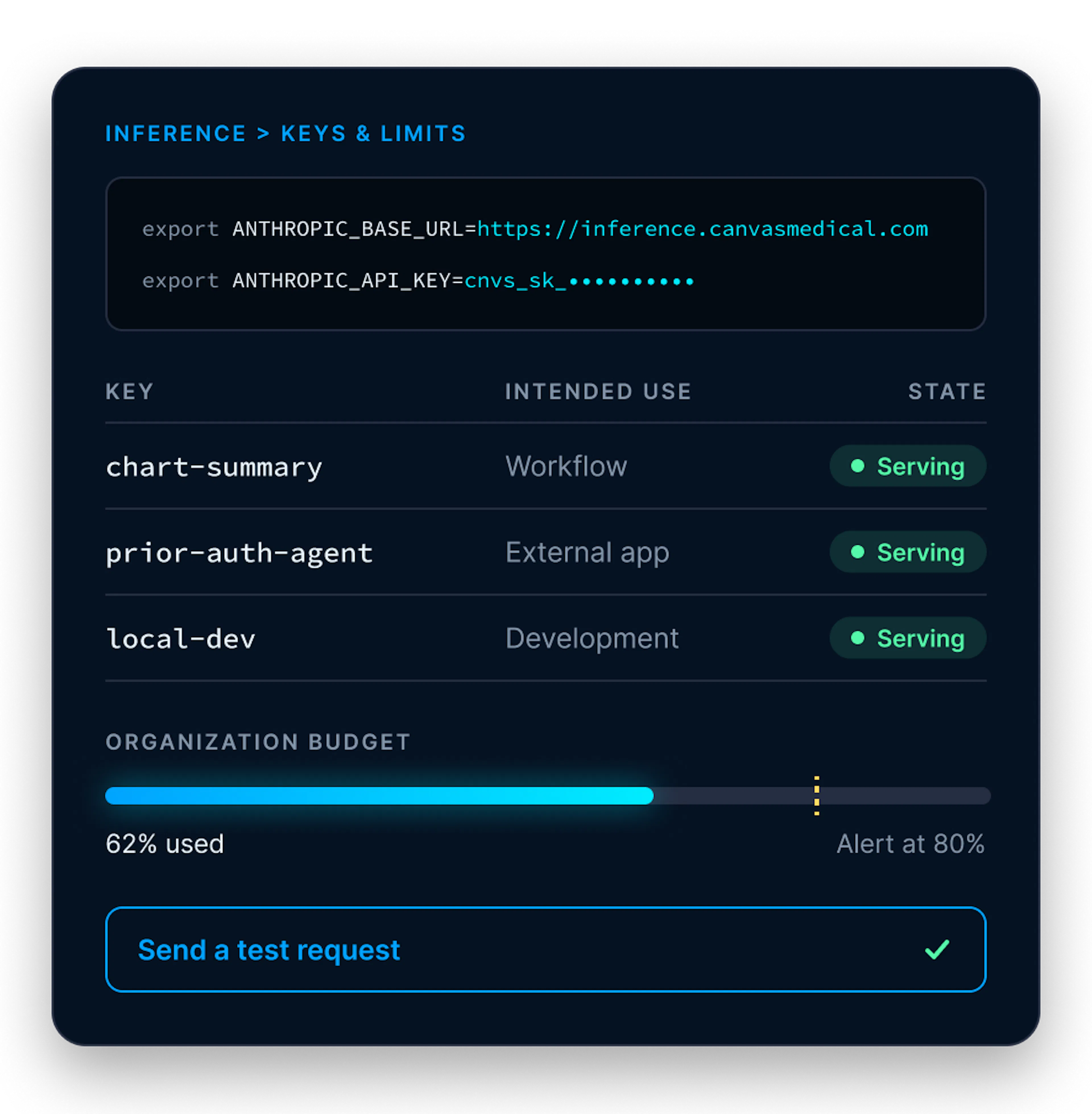 Canvas Platform Keys and limits page showing gateway connection settings, inference keys and the organization budget
