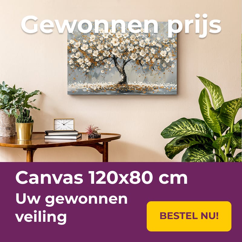 canvas-120x80