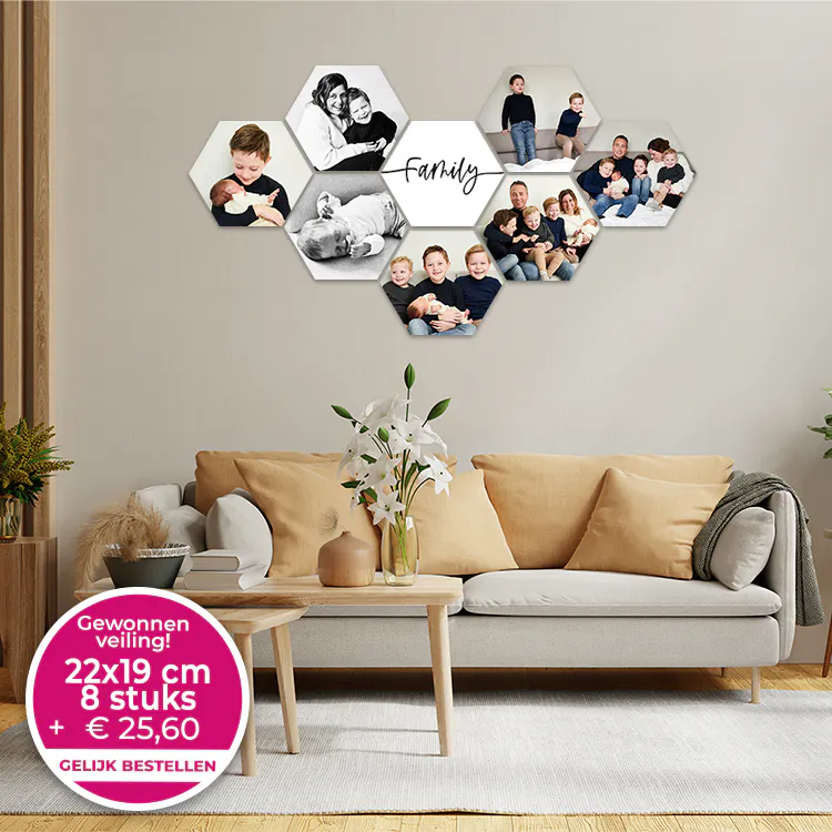 Hexagons 22x19 8 stuks