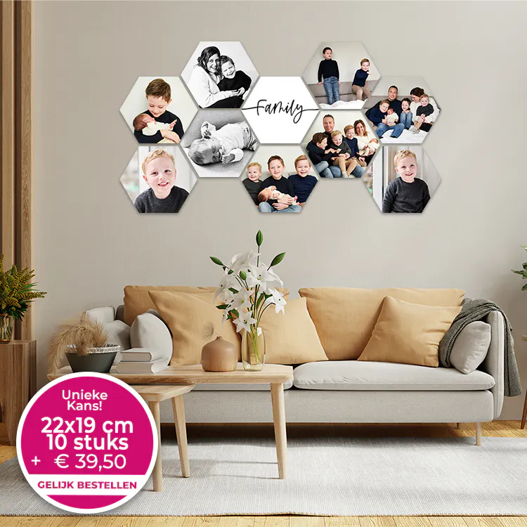 Hexagons 22x19 10 stuks