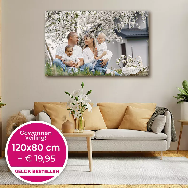 canvas 120x80