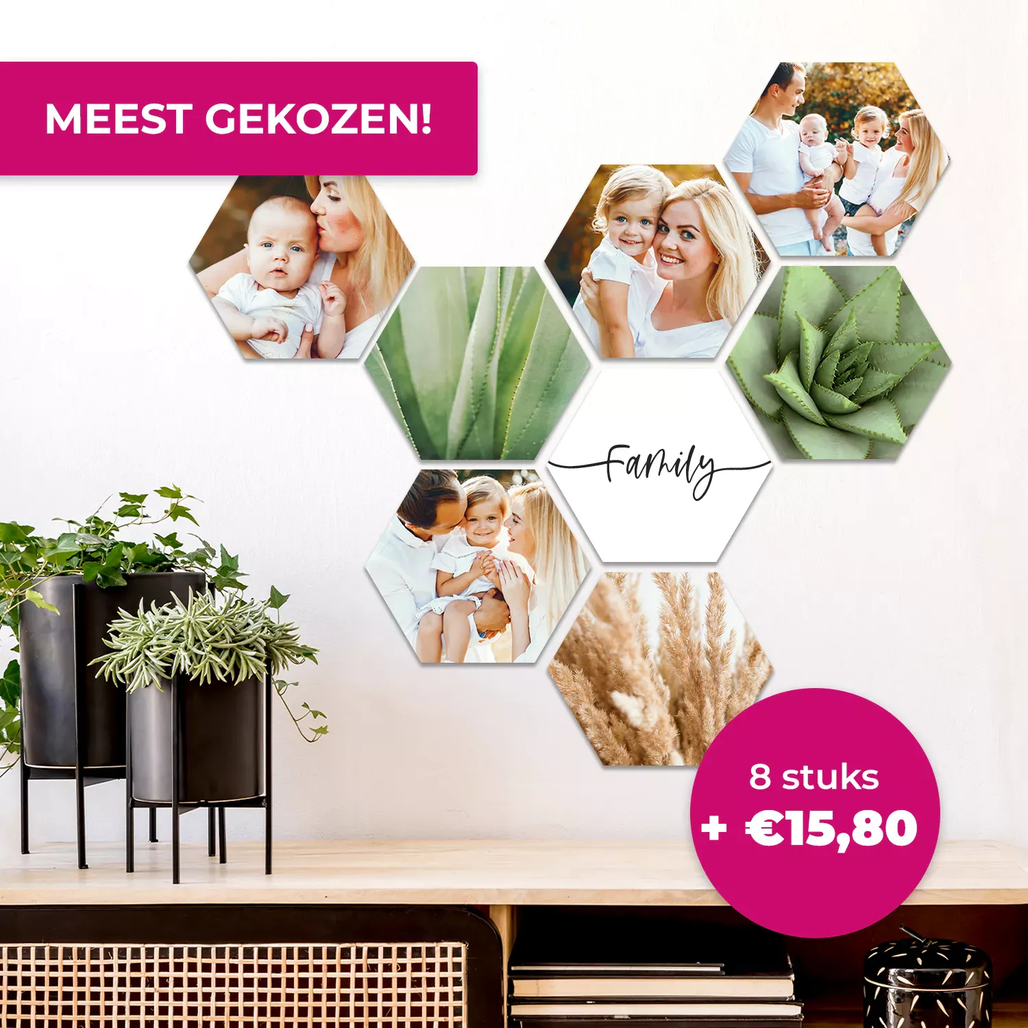 Hexagonactie 8 stuks