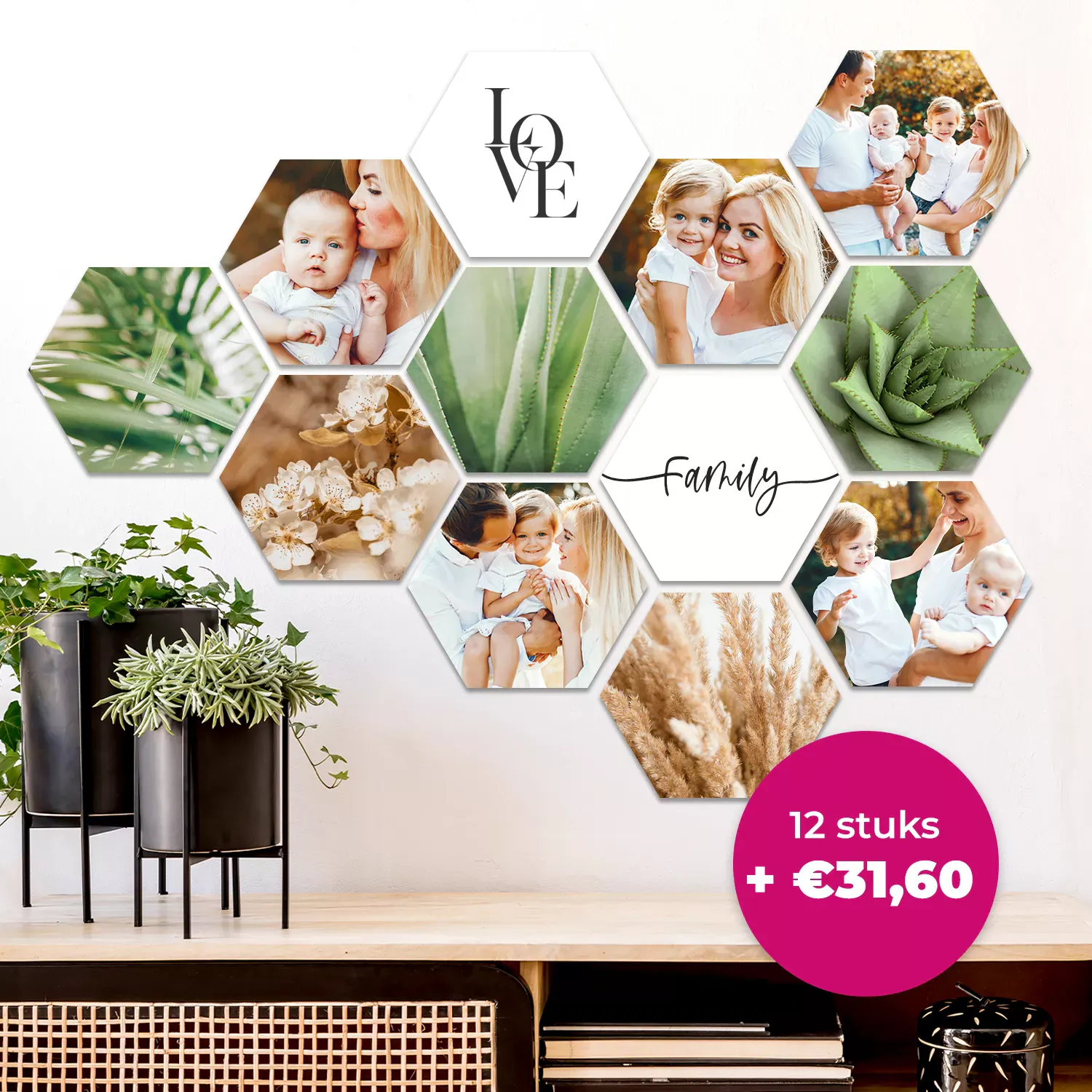 Hexagonactie 12 stuks