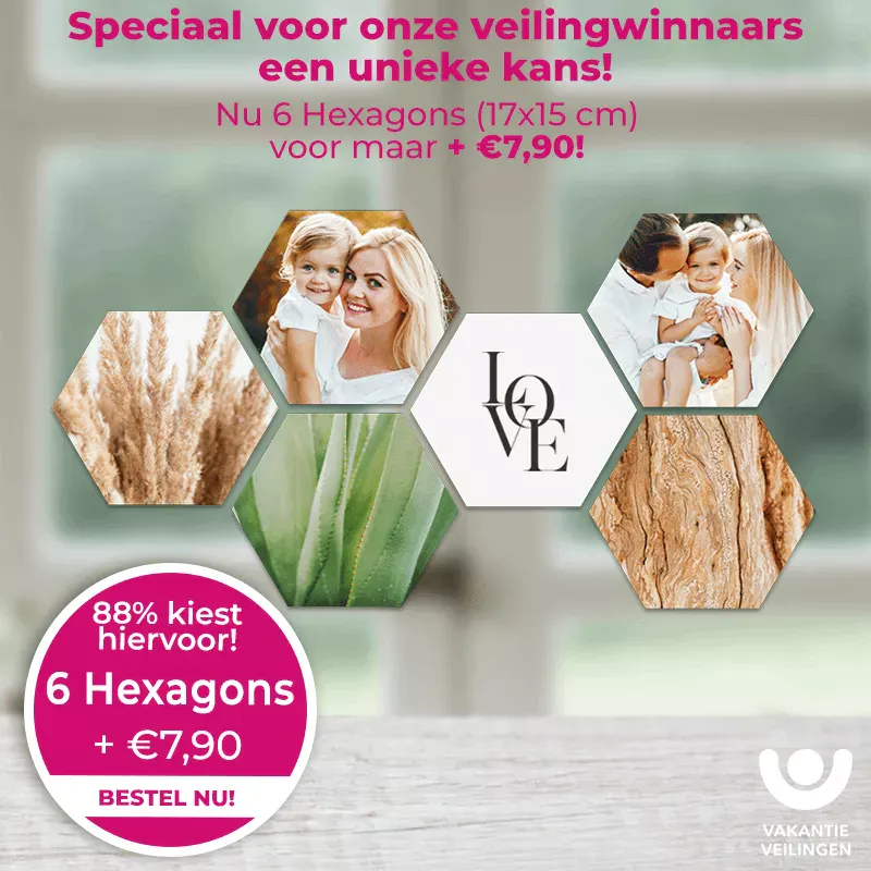 Hexagons 6