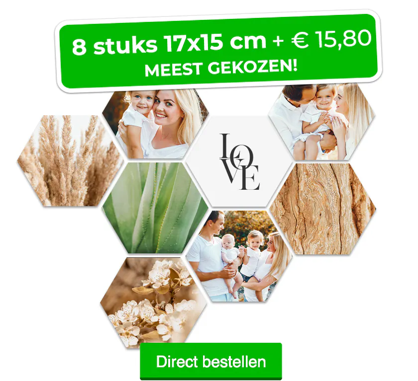 Hexagons 8 stuks