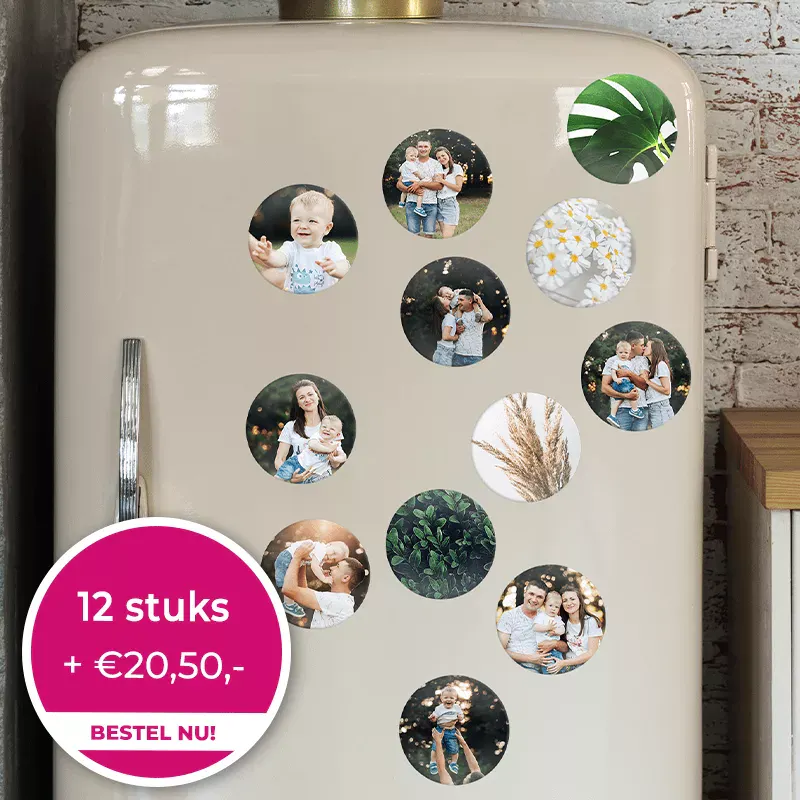 Koelkast magneten 12 stuks