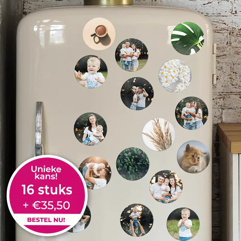 Koelkast magneten 16 stuks