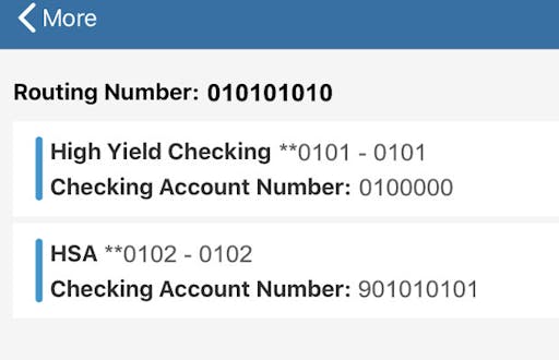 Sample of an eBanking page with different accounts listed.