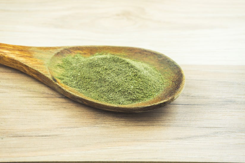 Kava powder on a wooden spoon