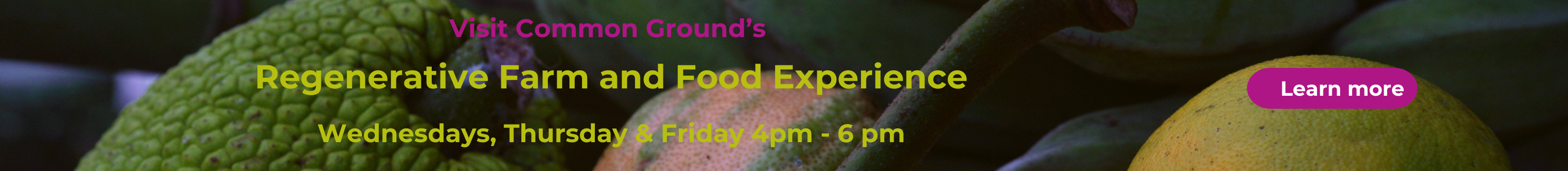 Agroforest Common Ground Marketplace