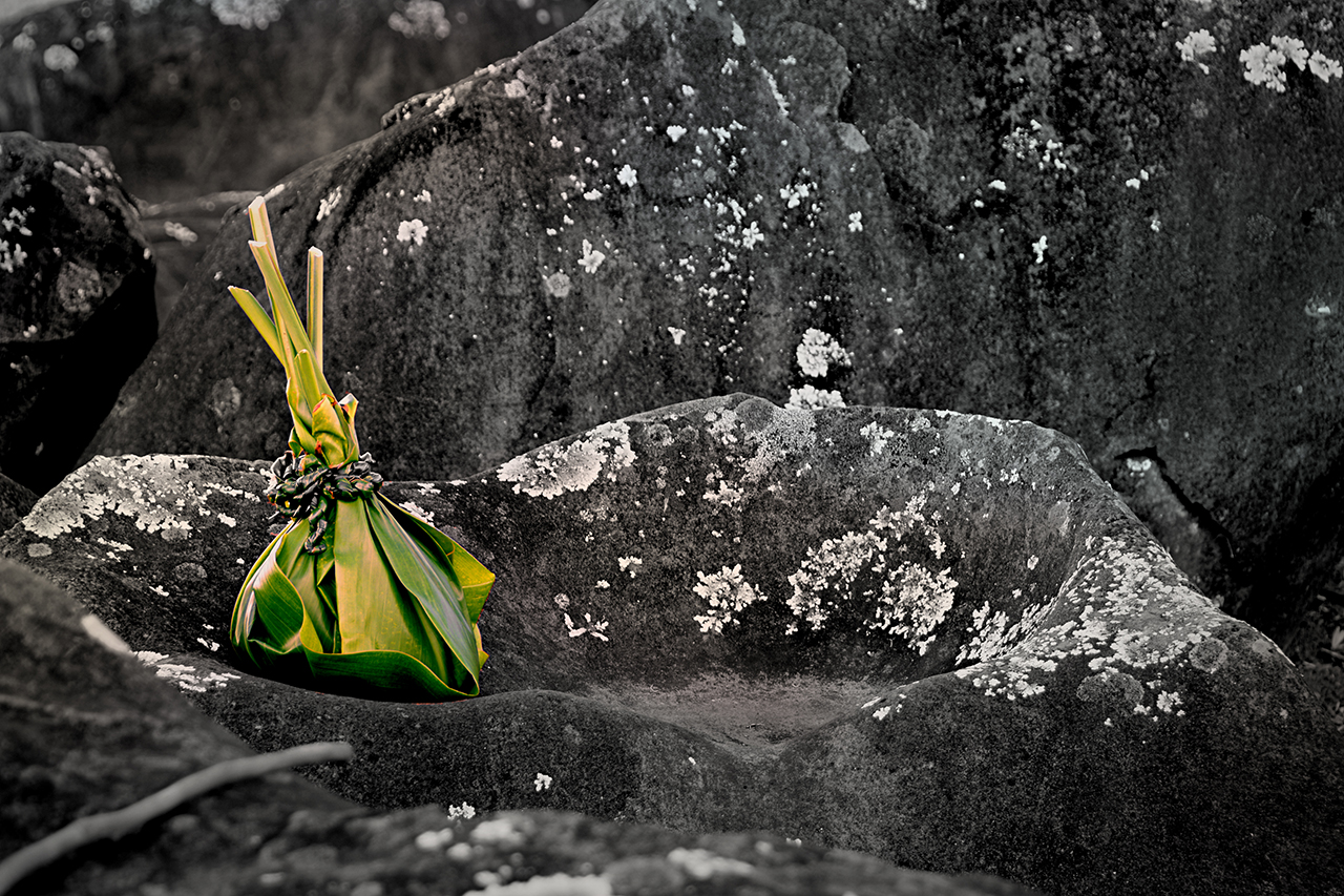 Slow Island Kauai Vanilla Bean Culinary Syrup Common Ground Marketplace