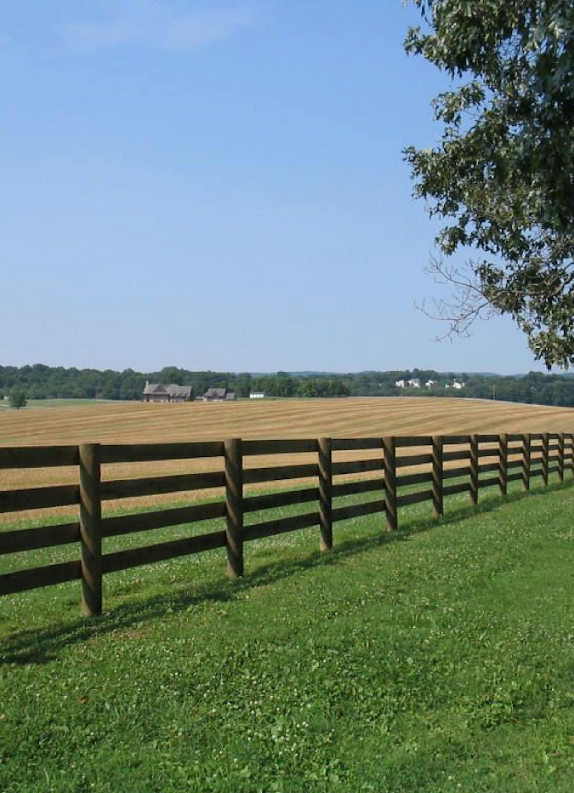 Slit Fencing