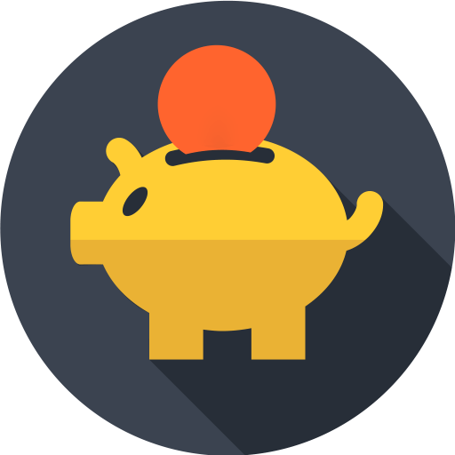 Money in PiggyBank