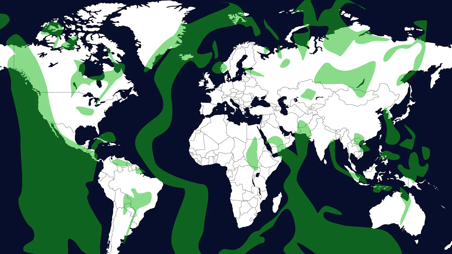 Figure 3 - Locations where rocks suitable for turning CO2 into stone can be found. Light brown indicates the youngest parts of the oceanic ridges and areas with volcanic rocks that are suitable for turning CO2 into stone from carbfix.com/atlas .