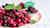 Keto Fruit: The Best (and Worst) Options for a Low Carb Diet