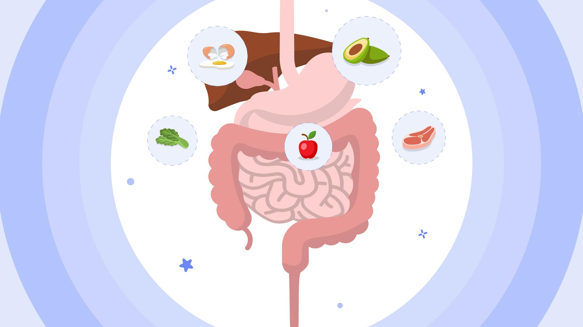 How To Eat for IBS and IBD: Low-Carb and Other Dietary Strategies