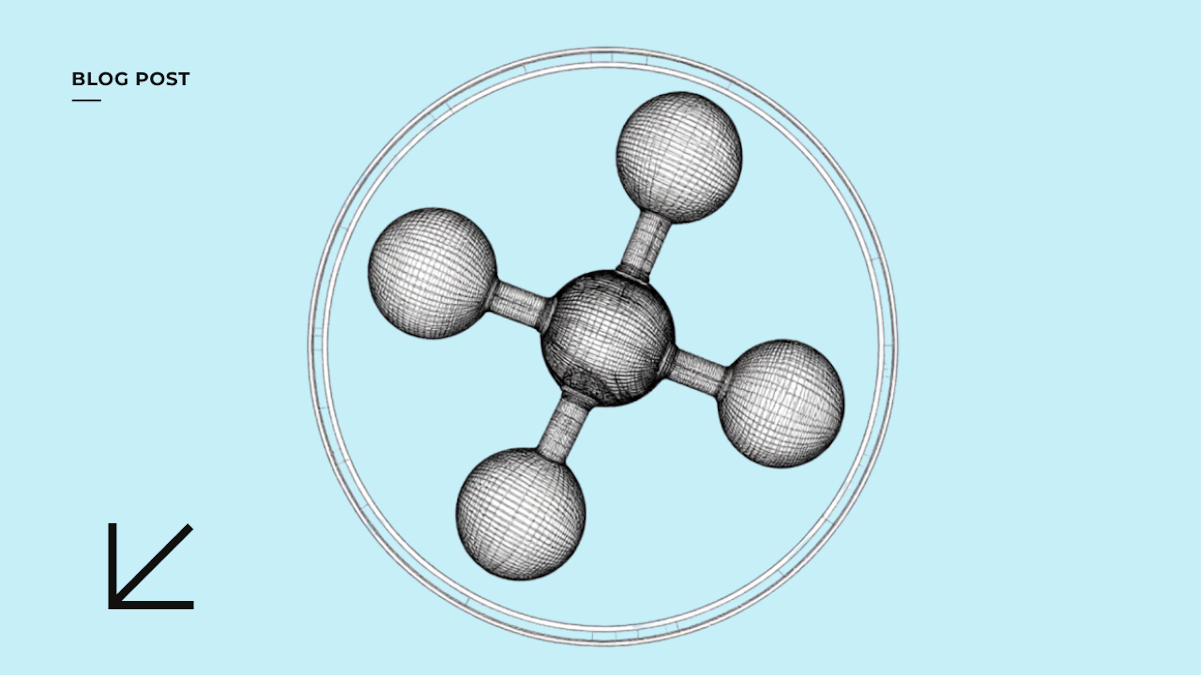 dynamic carbon footprint