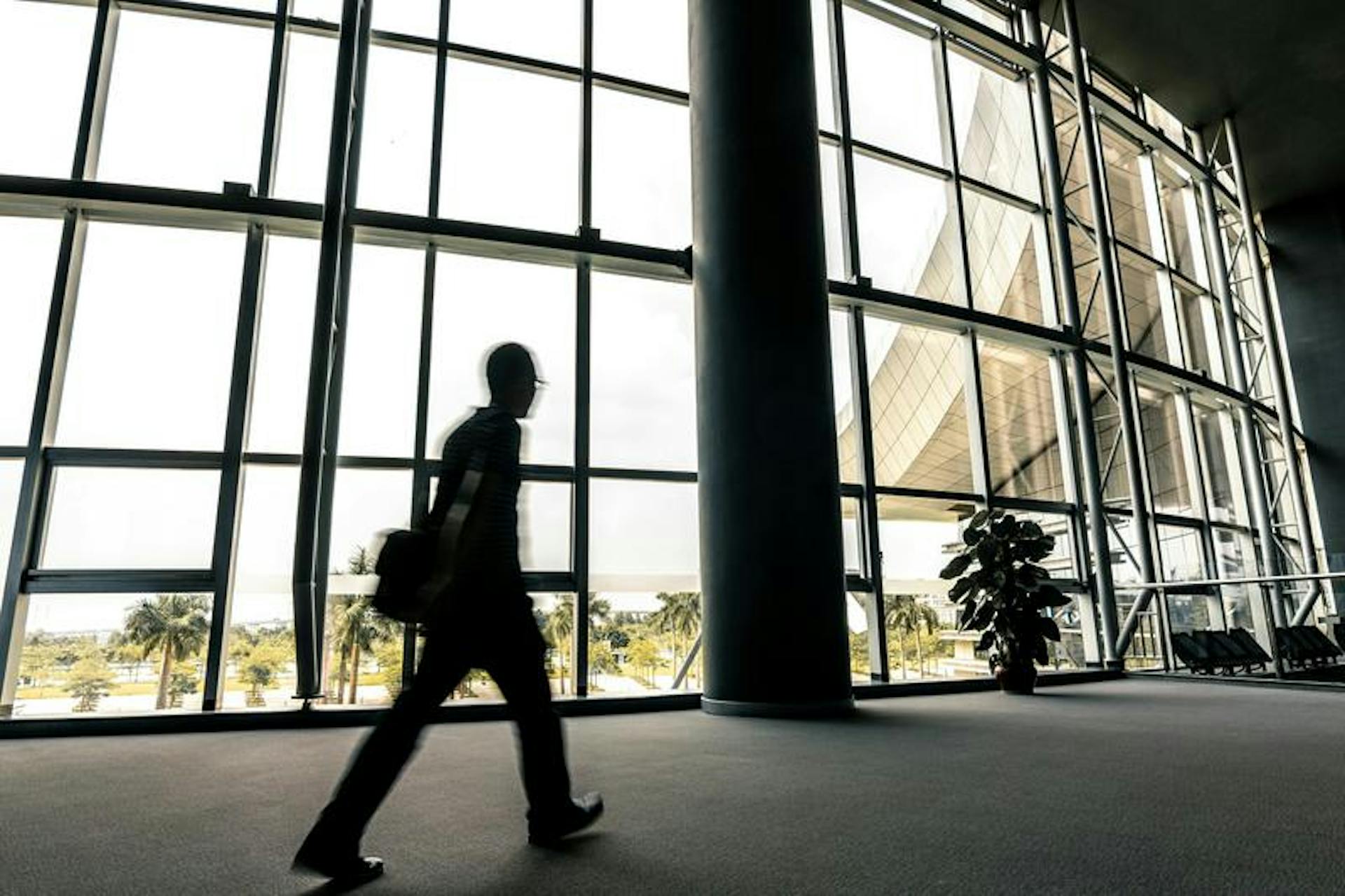 Silhouette of person walks past large glass windows; palm trees visible, enhancing spacious, sunny setting.