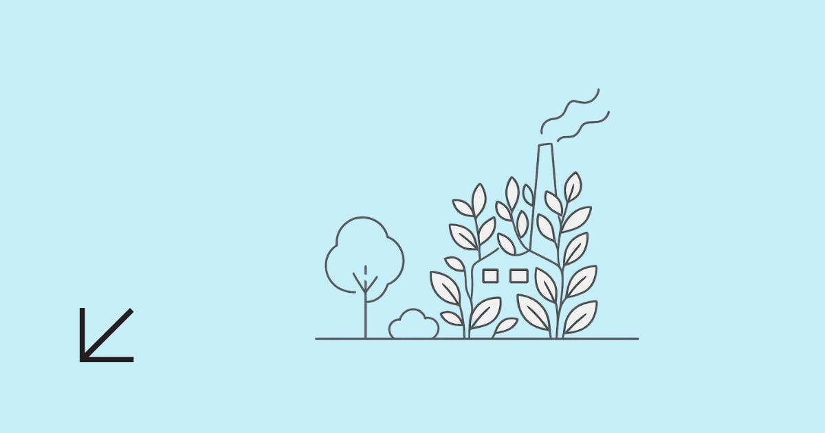 greenwashing explained carbmee