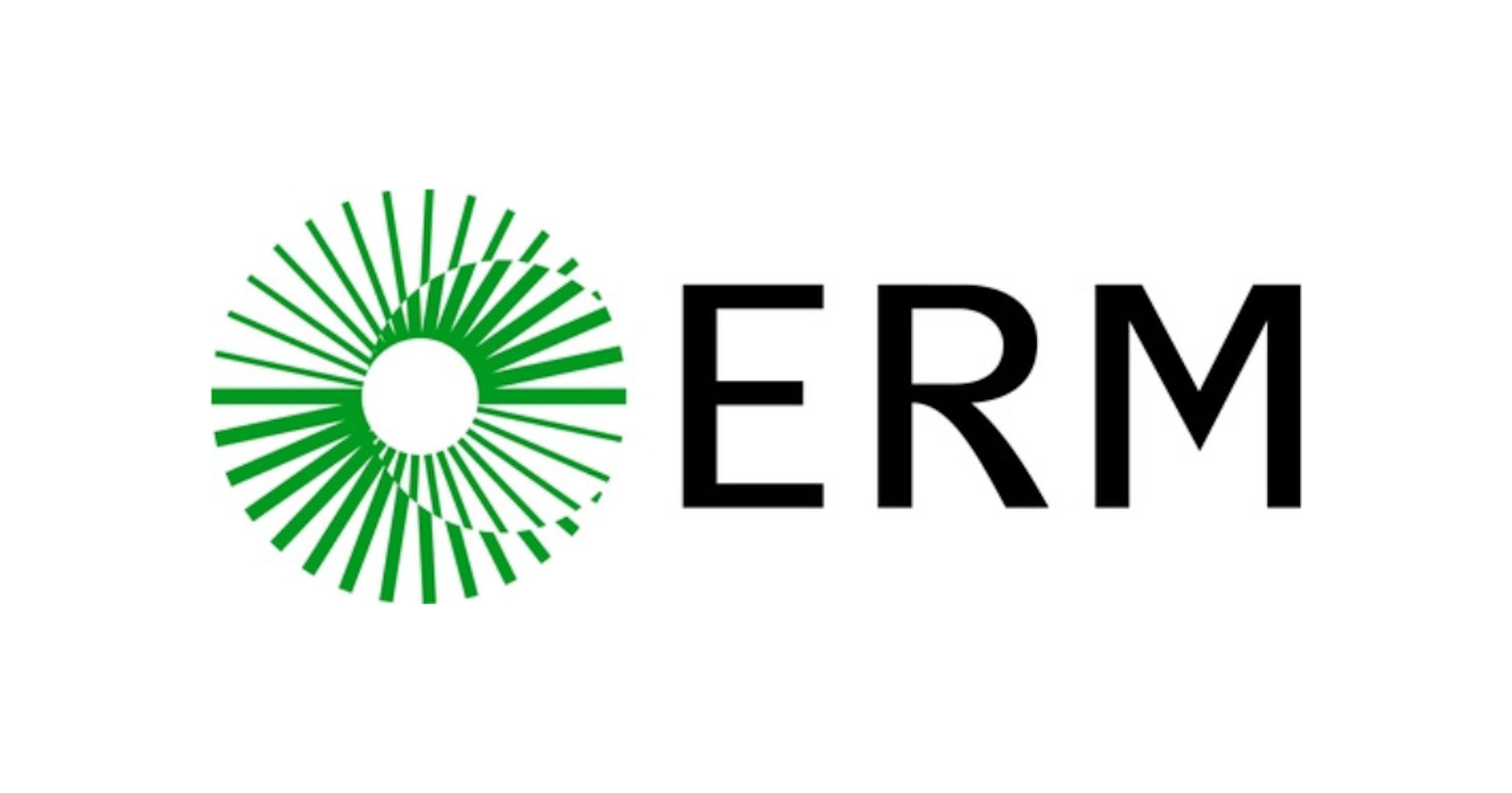ERM consultancy logo
