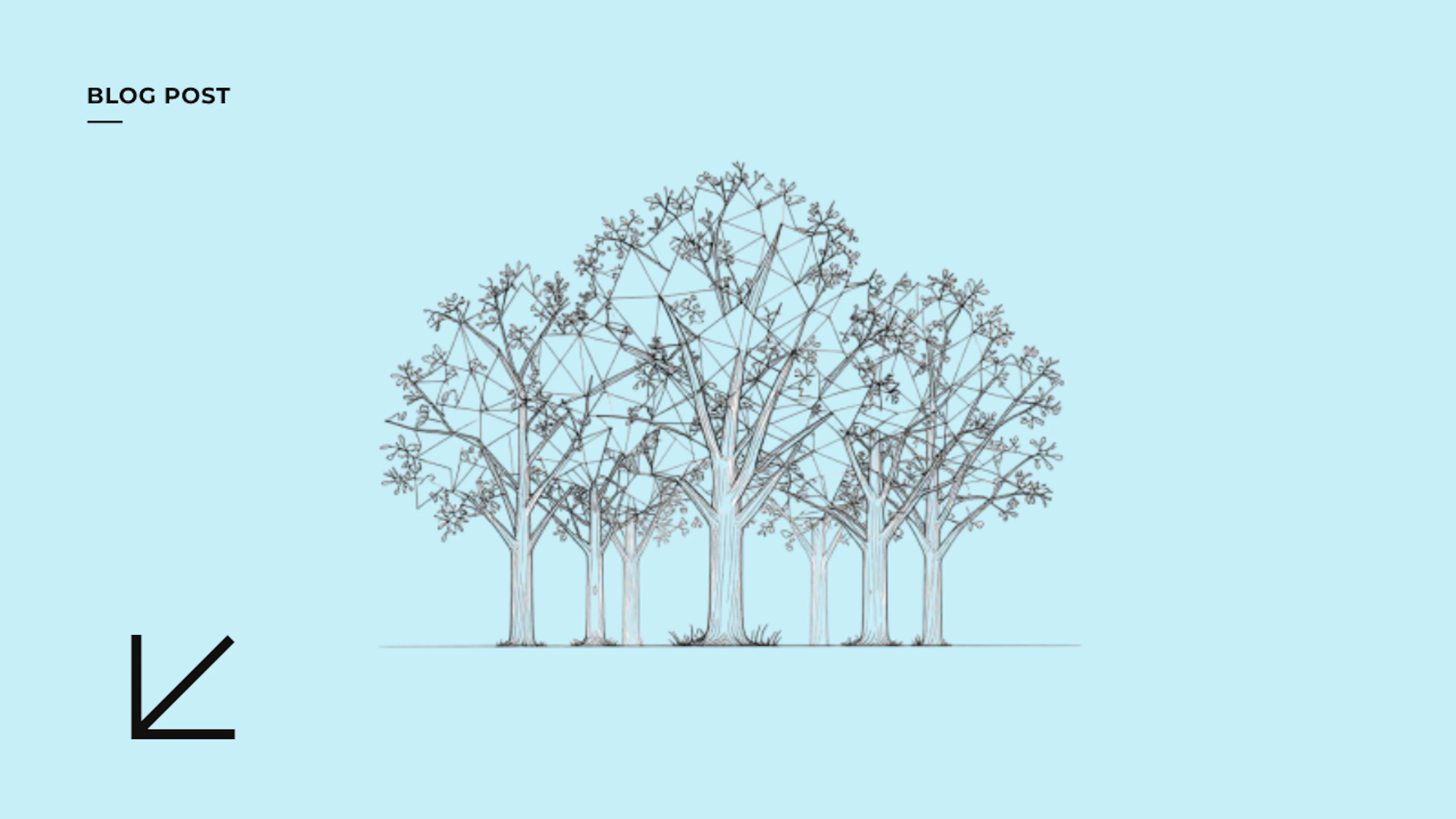 Great Britain Deforestation Policy
