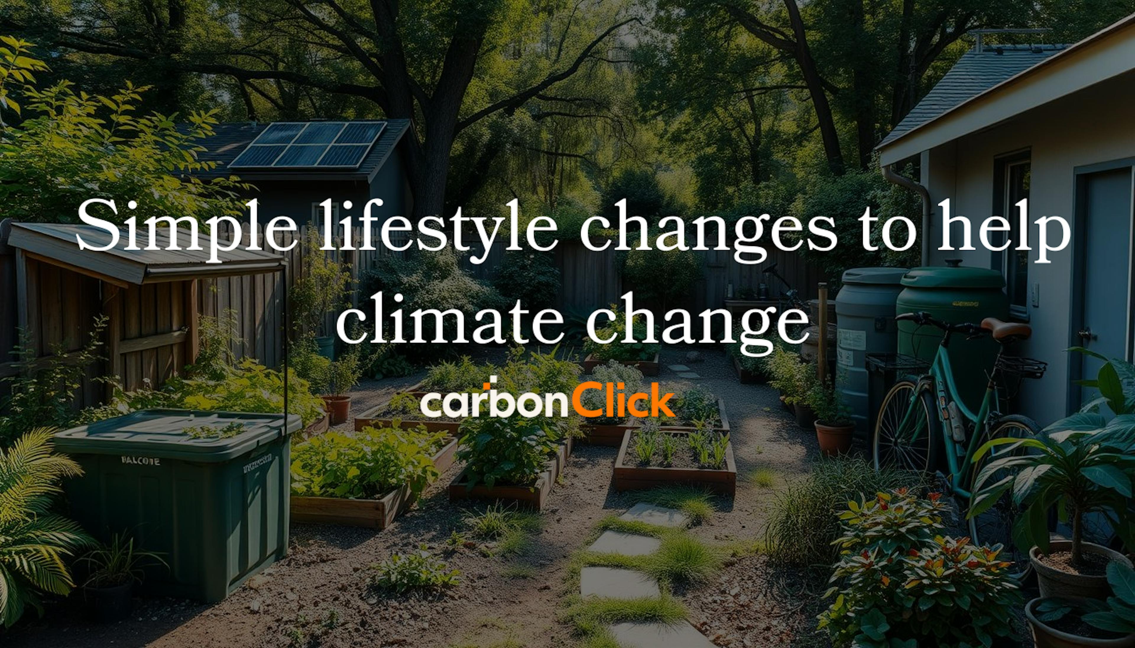 Simple lifestyle changes to help climate change