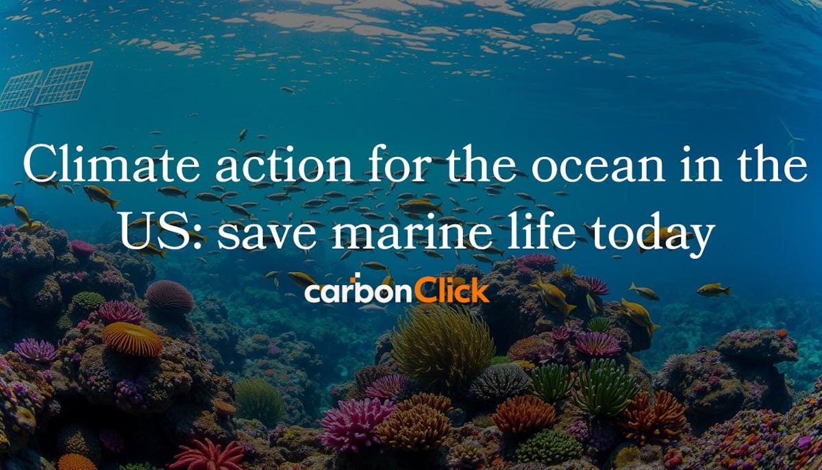 Climate action for the ocean in the US: save marine life today.