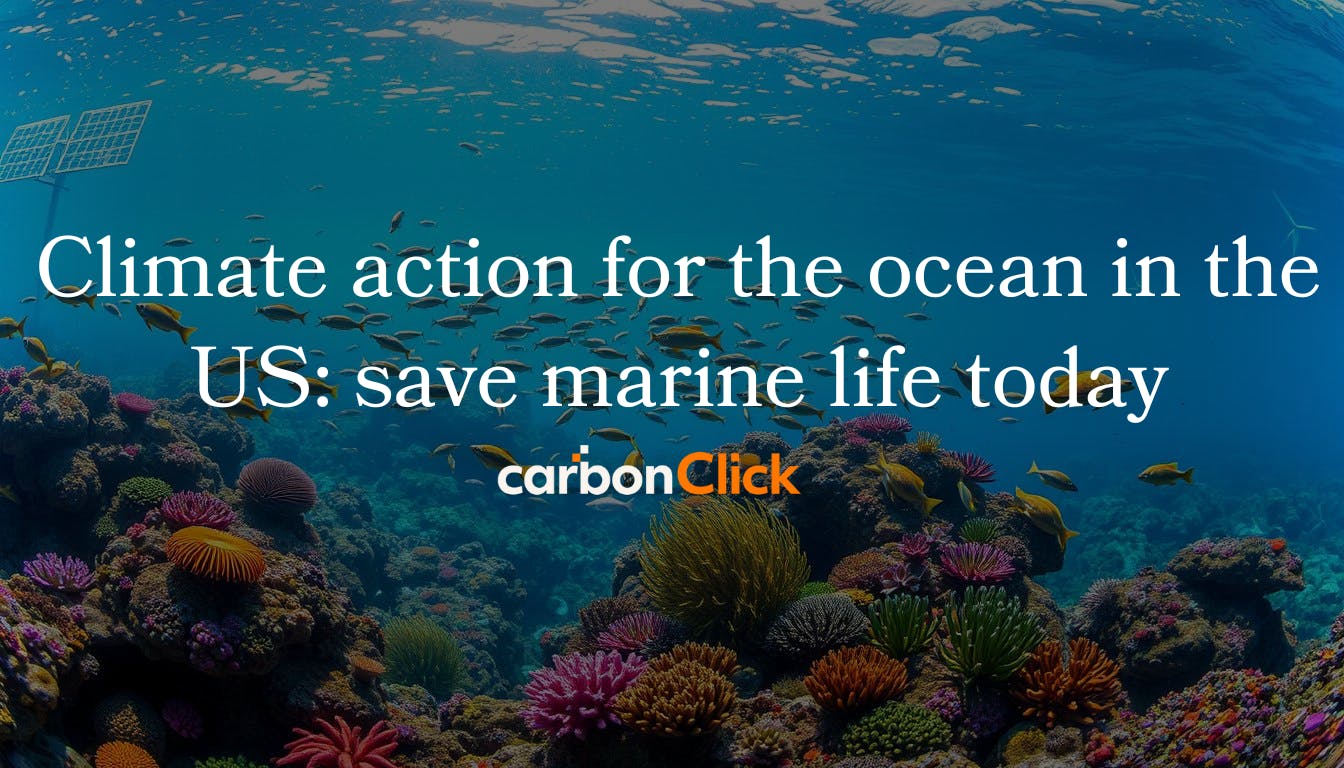 Climate action for the ocean in the US: save marine life today.