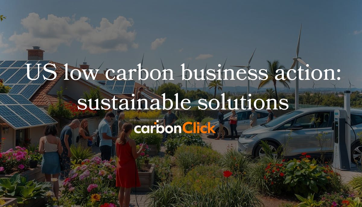 US low carbon business action: sustainable solutions