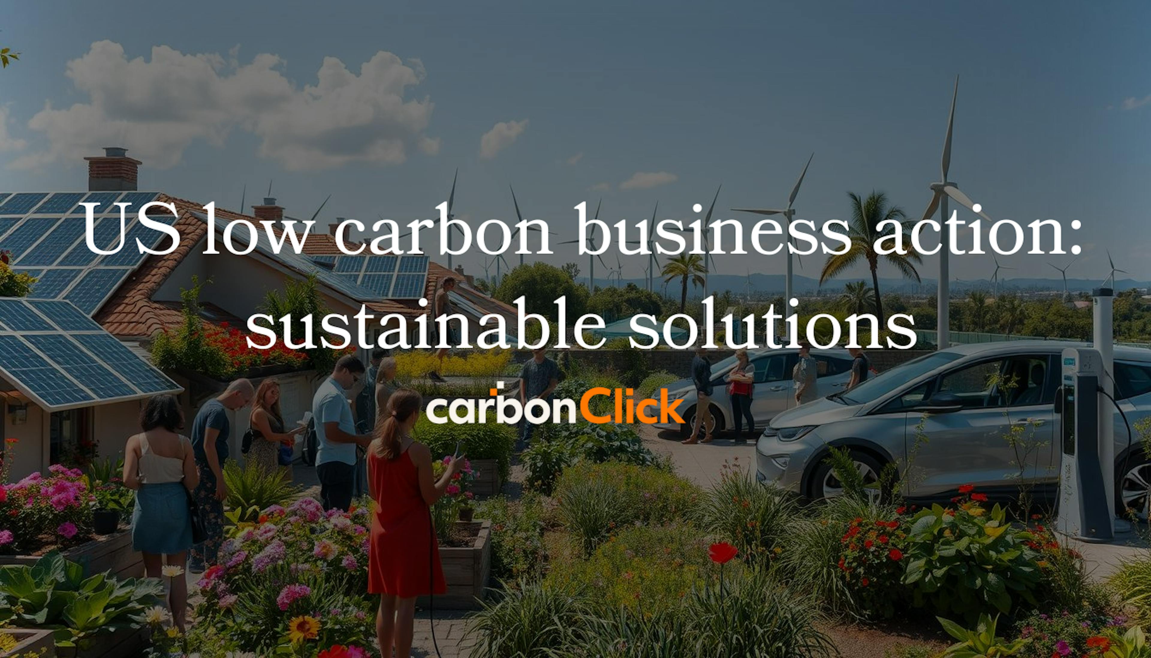 US low carbon business action: sustainable solutions