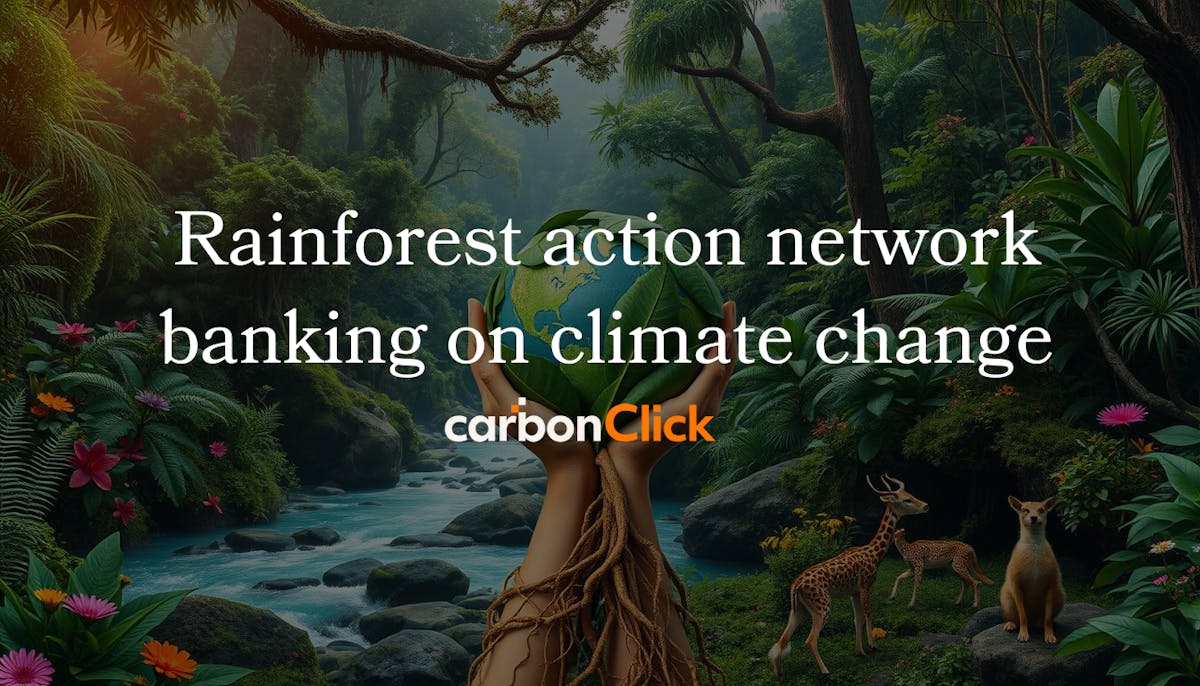 Rainforest action network banking on climate change